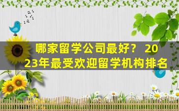 哪家留学公司最好？ 2023年最受欢迎留学机构排名